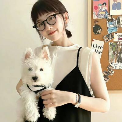 报告班长7：勇往直前